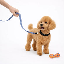 Cargar imagen en el visor de la galería, Correa de perro fallera
