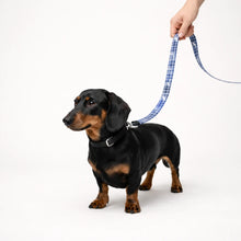 Cargar imagen en el visor de la galería, Correa de perro fallera
